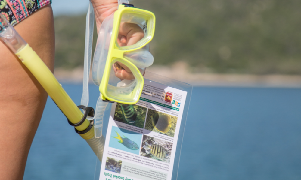 Explore the Magnetic Island Snorkel Trails