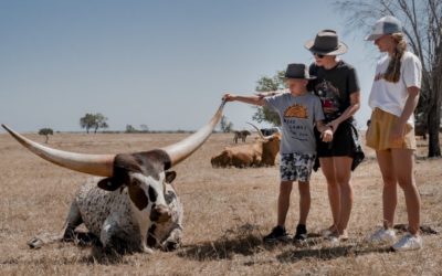 Day Trip to Charters Towers from Townsville