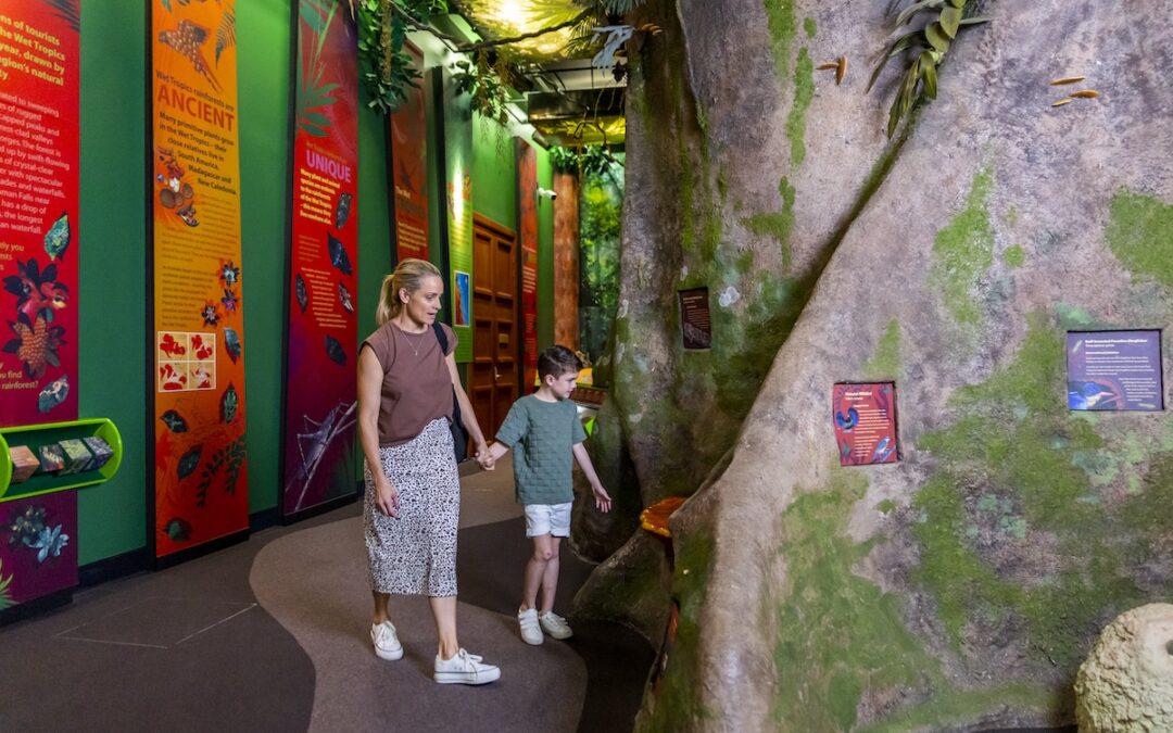 Queensland Museum Tropics